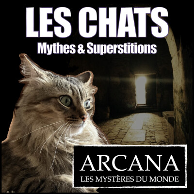 Le chat : Légendes, Mythes et Pouvoirs Magiques - avec Christian Doumergue cover