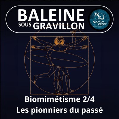 S07E37 Biomimétisme et bioinspiration 2/4 : Les pionniers du passé (Alain Renaudin) cover