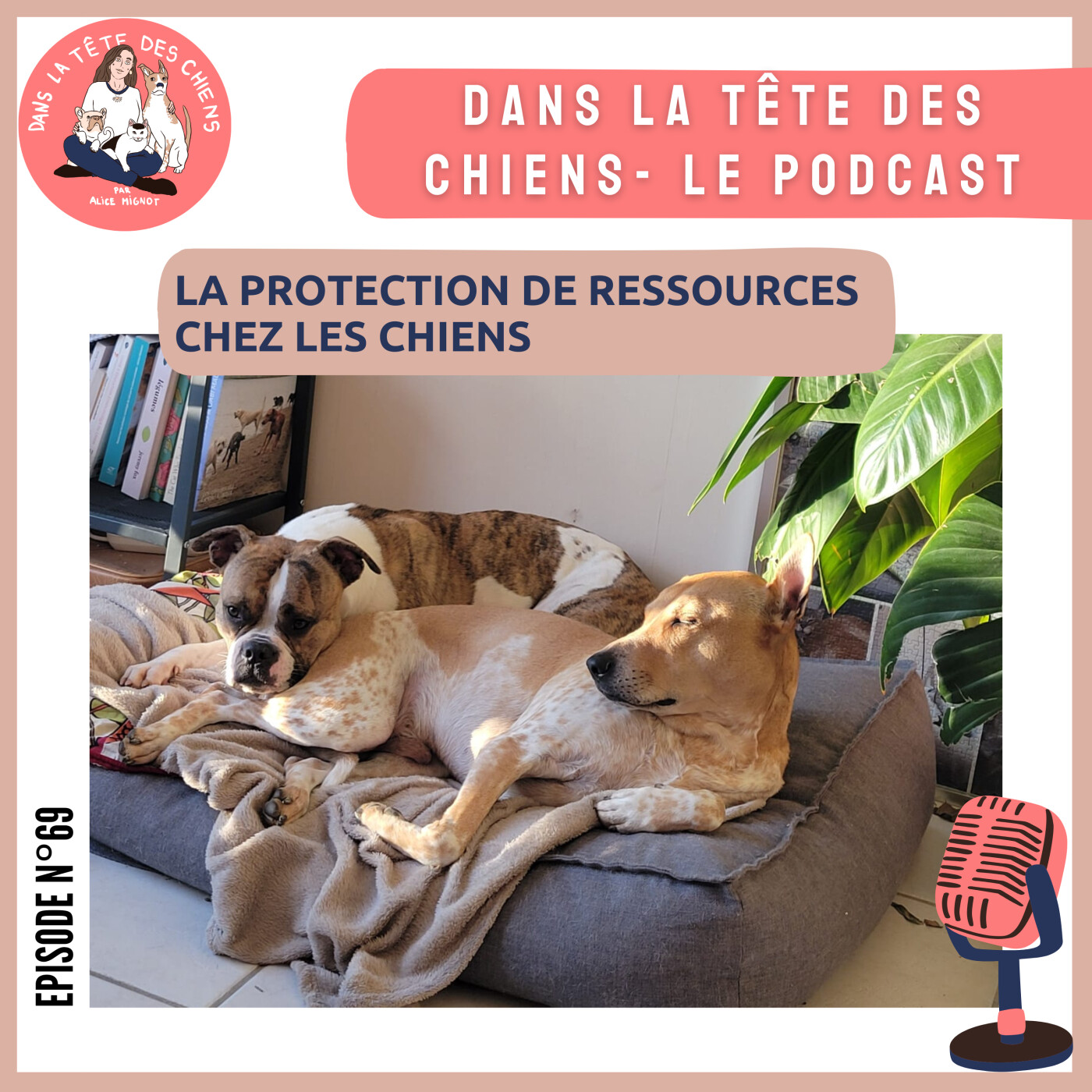 Dans la tête des chiens
