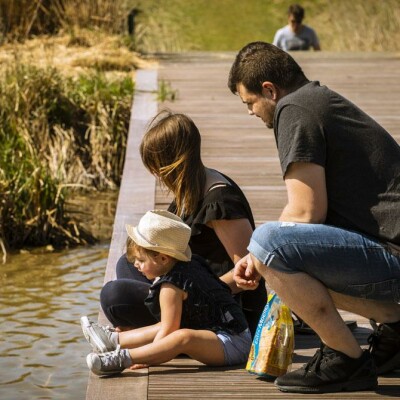 Pause nature sur l'A16 en Baie de Somme ! cover