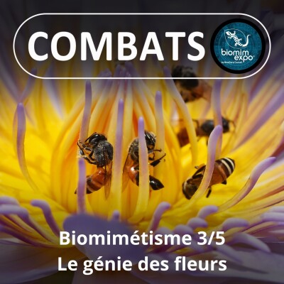 S05E21 Biomimétisme et bioinspiration 3/5 : Le hold-up des fleurs (Alain Renaudin) cover
