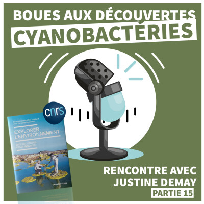 EXPLORER L'ENVIRONNEMENT | Boue aux découvertes CYANOBACTÉRIES [Épisode 15] cover