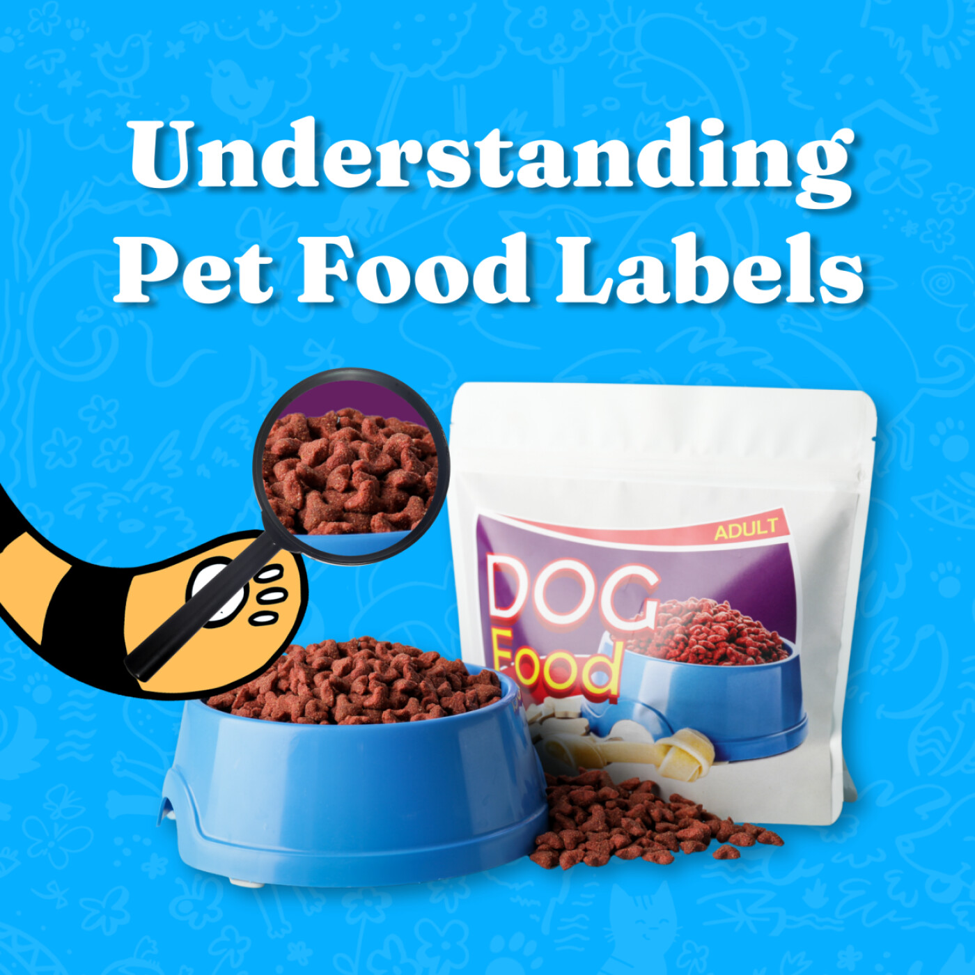 What To Look Out For - Read and Understand Pet Food Labels episode artwork