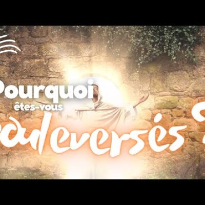 Parole et Évangile du jour | Jeudi 13 avril • La paix soit avec vous cover