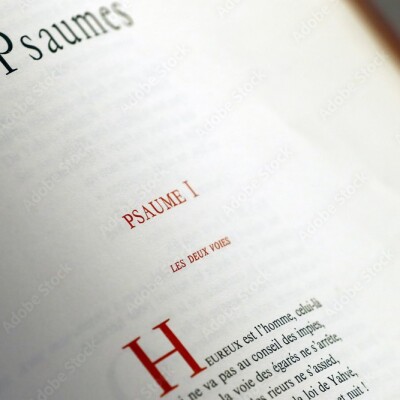 Du miel et de la lumière dans les Psaumes cover