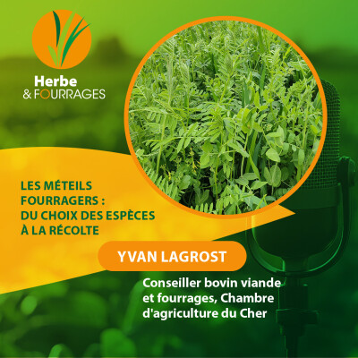 HERBE ET FOURRAGES - Les méteils fourragers : du choix des espèces à la récolte cover