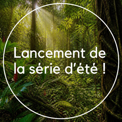 🌞 Lancement de la série d'été ! 🌴 cover