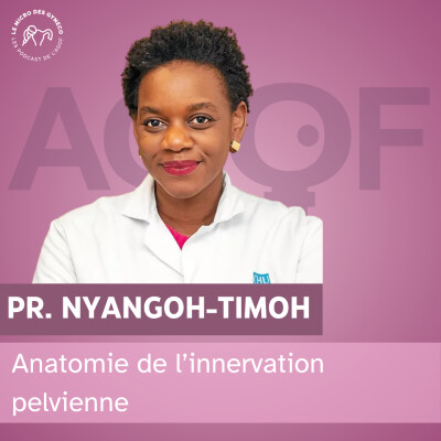 Anatomie de l'innervation pelvienne - Pr. Nyangoh Timoh cover