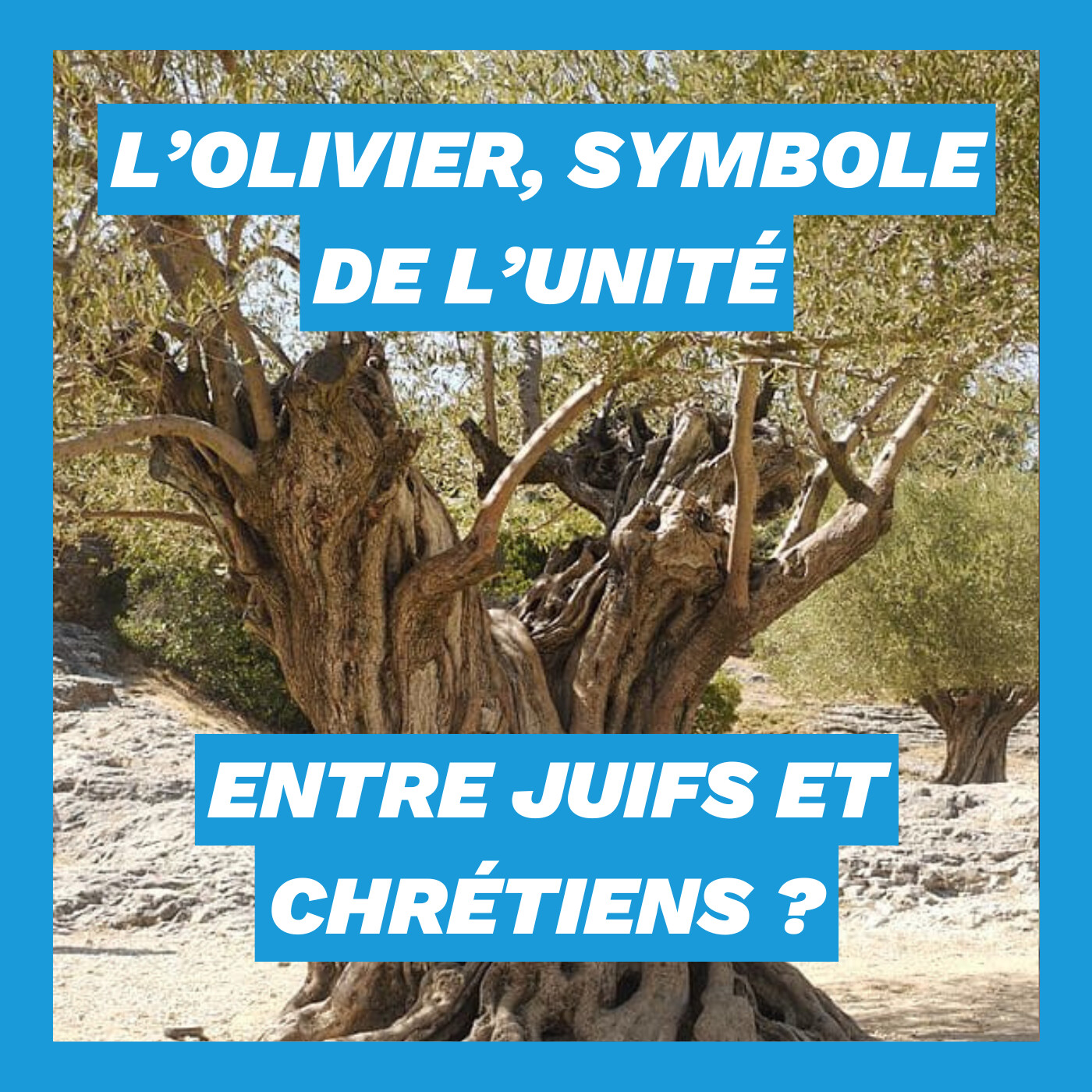 PRIXM - Les Chauds de la Bible