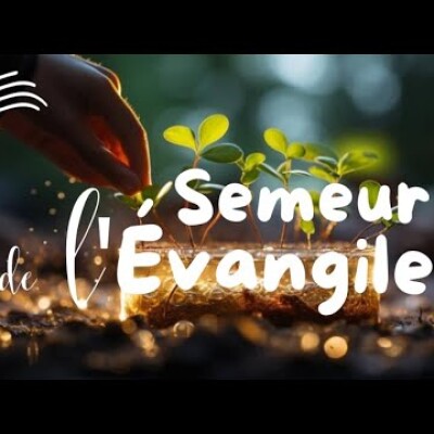 Parole et Évangile du jour | Mercredi 24 janvier • L'indifférence ? St François de Sales cover