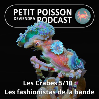 Show cover