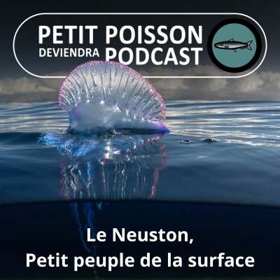 S03E40 Le neuston : L'étrange petit peuple de la surface (Bill François) cover