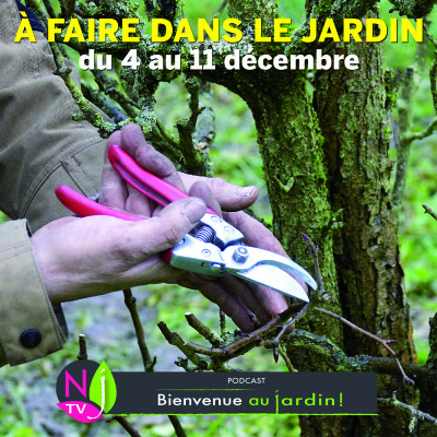 QUE FAIRE DANS LE JARDIN DU 4 AU 11 DÉCEMBRE ? cover