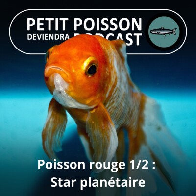 S03E19 Poisson rouge 1/2 : Les origines d'un animal qui a conquis la planète cover