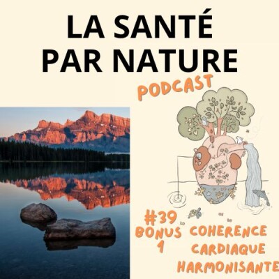 #39 BONUS 1 - Cohérence cardiaque harmonisante cover