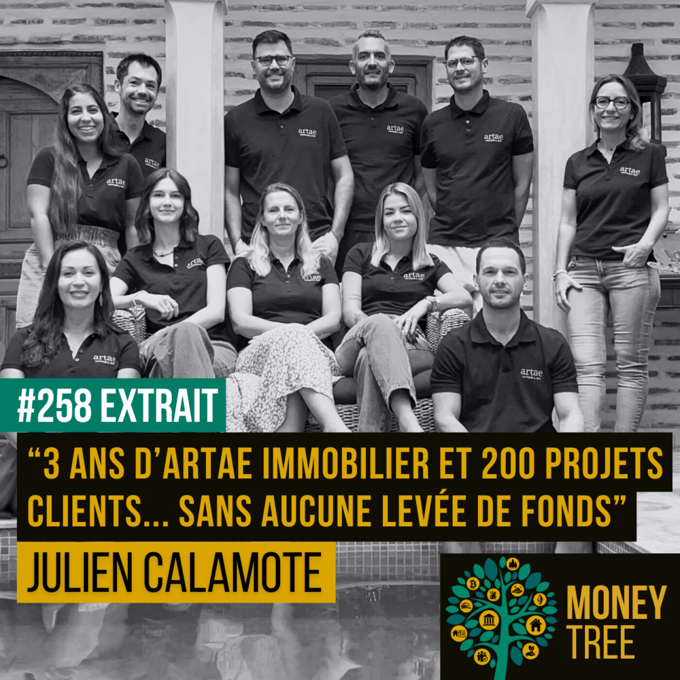 Money Tree, le podcast Immobilier & Investissement d\'Artae
