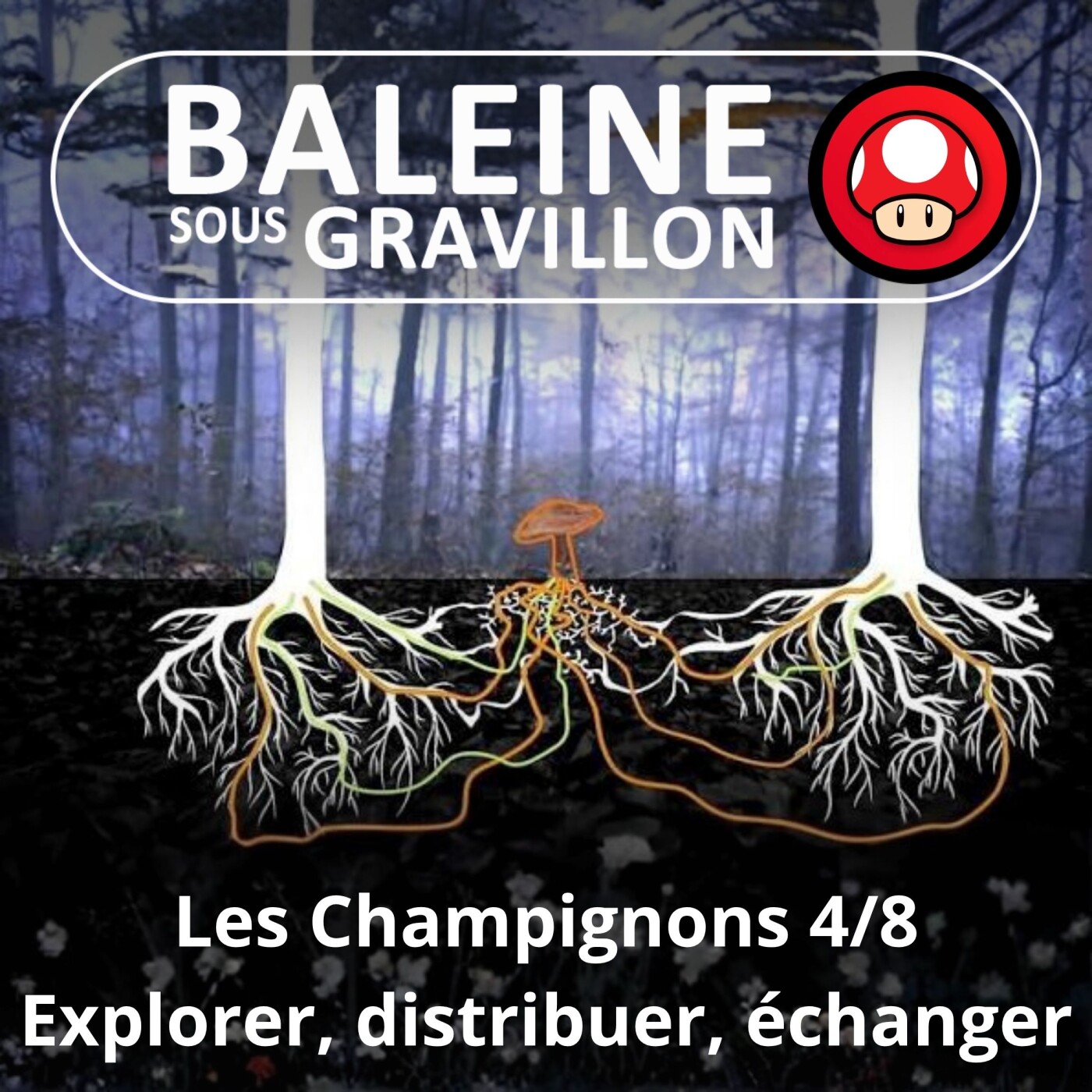 S05E41 Les Champignons 4/8 : Explorer, distribuer, échanger (Guillaume Lopez) episode artwork