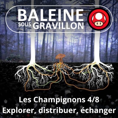 S05E41 Les Champignons 4/8 : Explorer, distribuer, échanger (Guillaume Lopez) cover