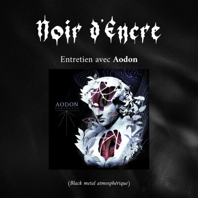 Noir d'Encre : Aodon cover