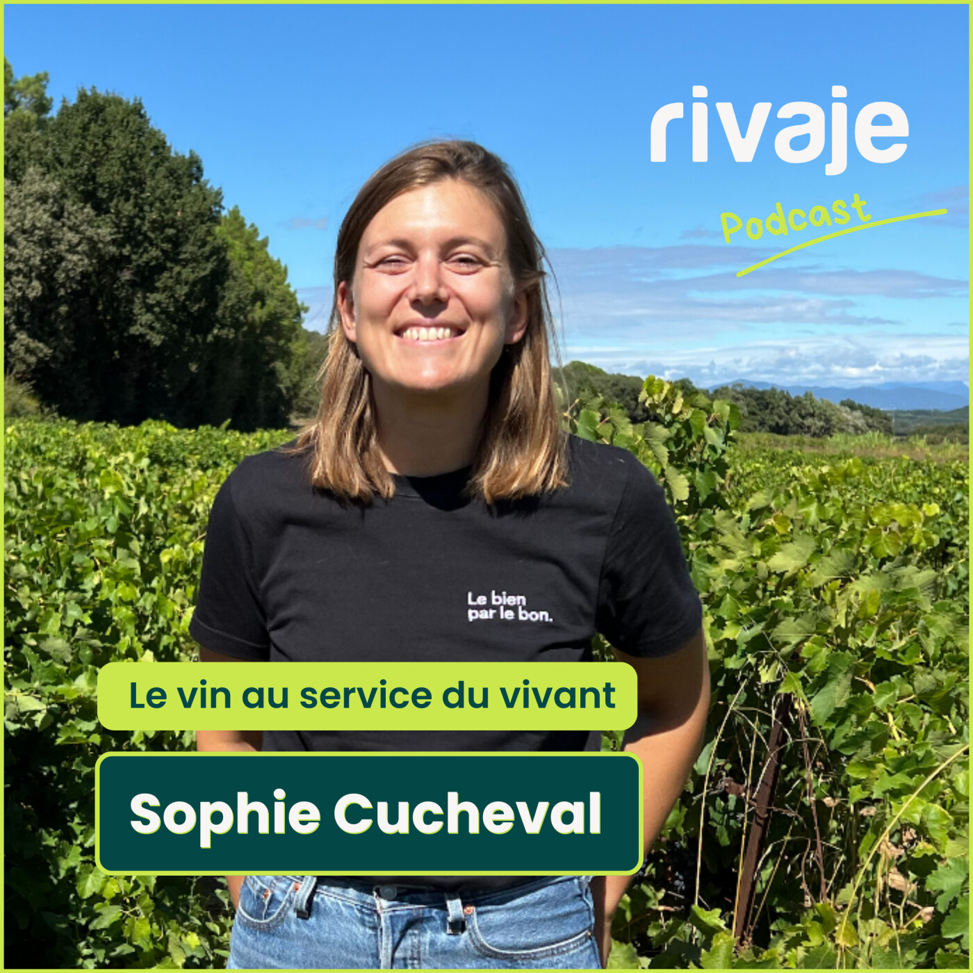 Oé, le vin au service du vivant avec Sophie Cucheval