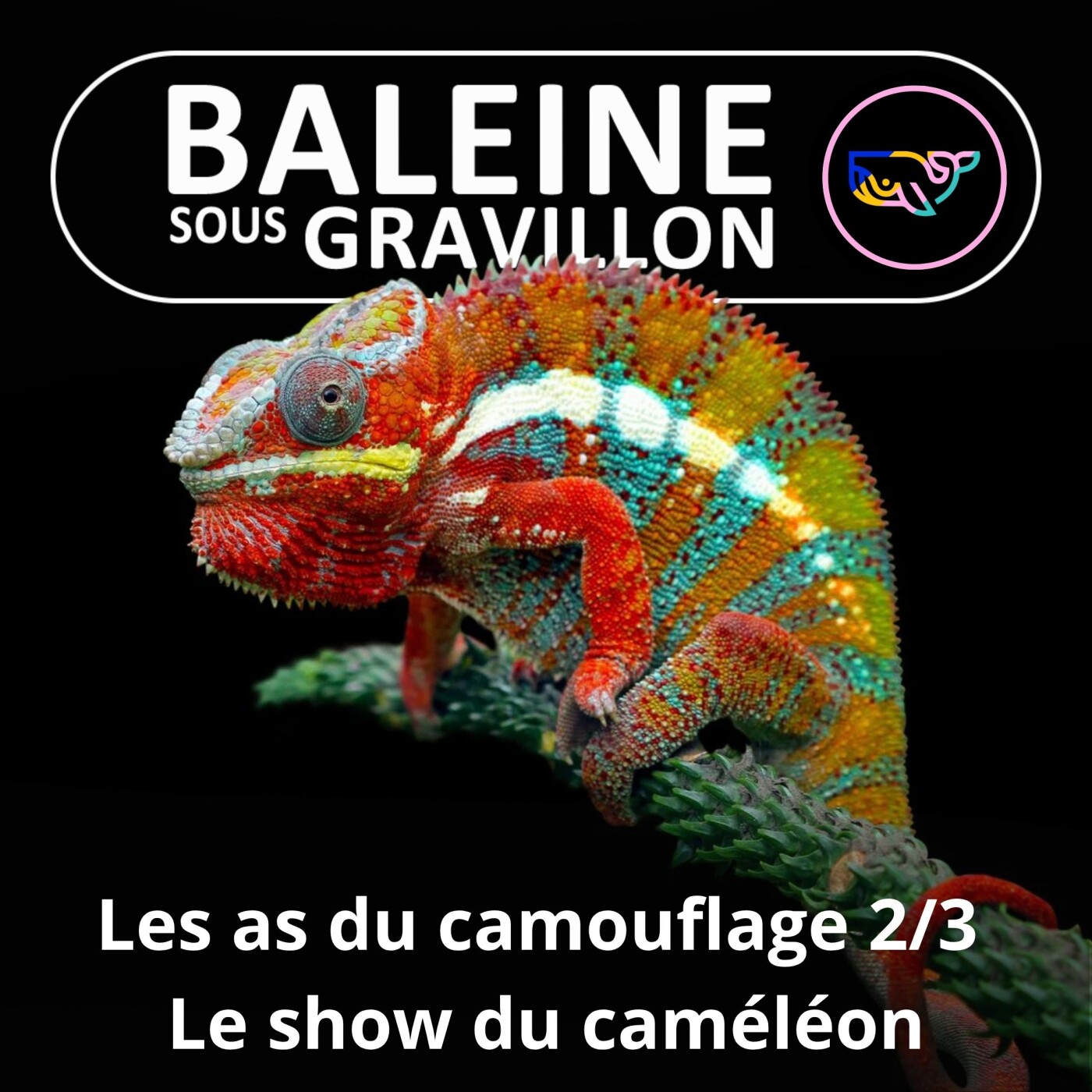 S07E164 Les as du camouflage 2/3 : Le show du Caméléon episode artwork
