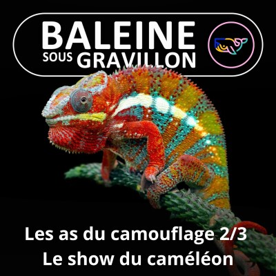 S07E164 Les as du camouflage 2/3 : Le show du Caméléon cover