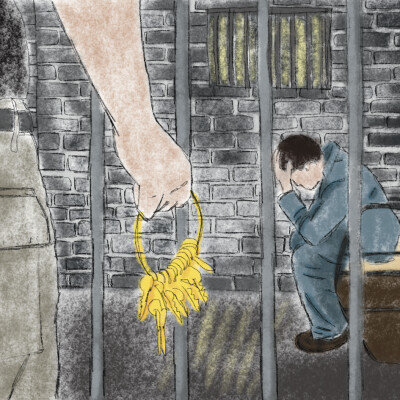 Sorti de prison cover