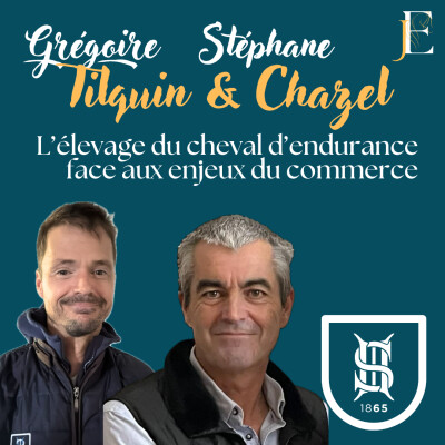 SHF - Grégoire Tilquin et Stéphane Chazel, l'élevage du cheval d'endurance face aux enjeux du commerce cover