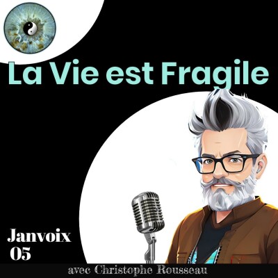 La vie est fragile cover