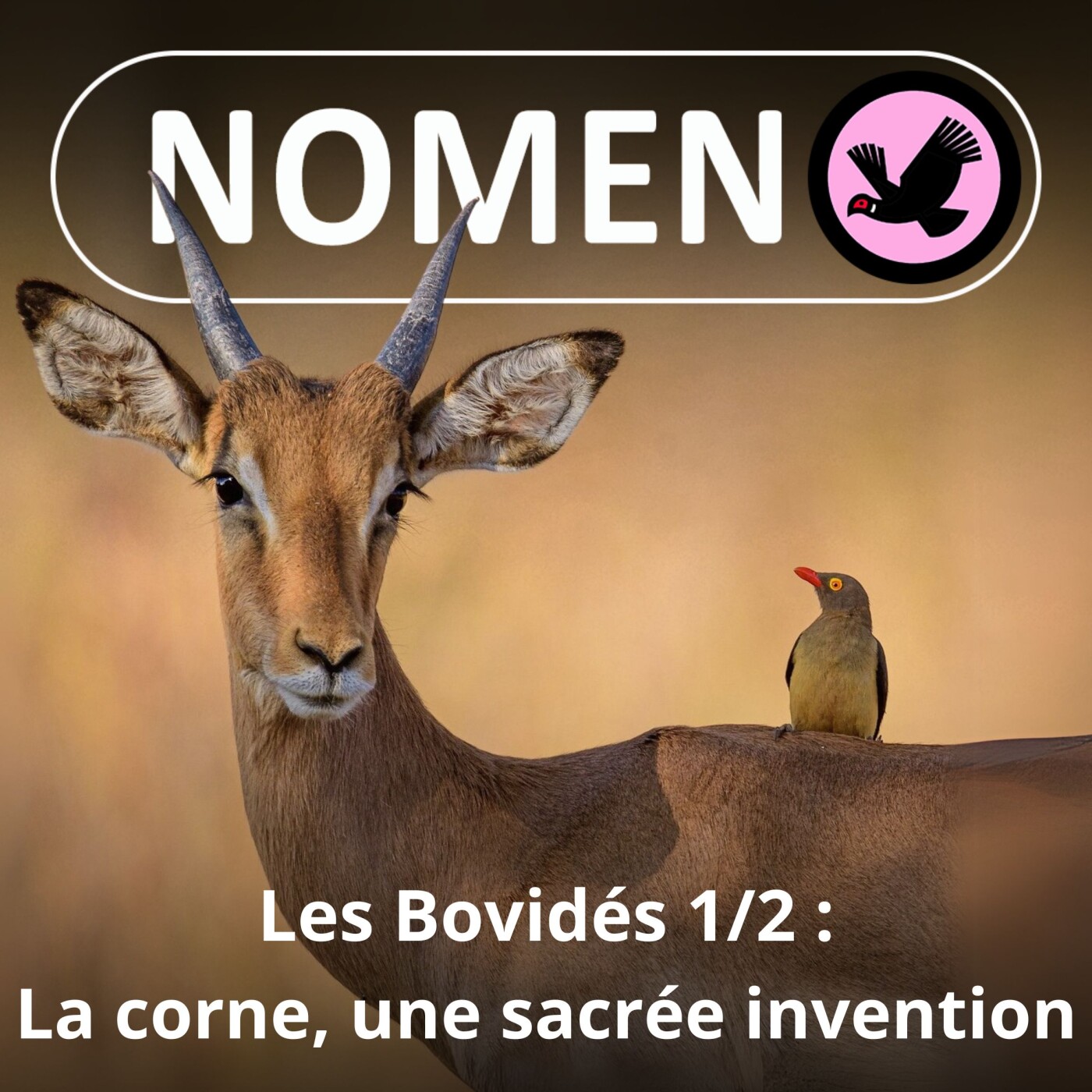 Nomen