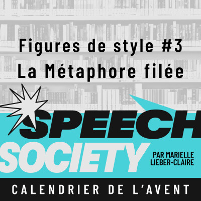 41. Calendrier de l'Avent des Figures de Style (3/22) : La Métaphore filée, ou comment convaincre en créant un univers cover