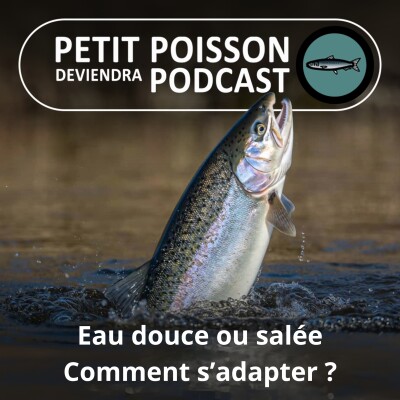 S03E41 Eau douce et eau salée : Quelle différence pour les poissons ? (Bill François) cover