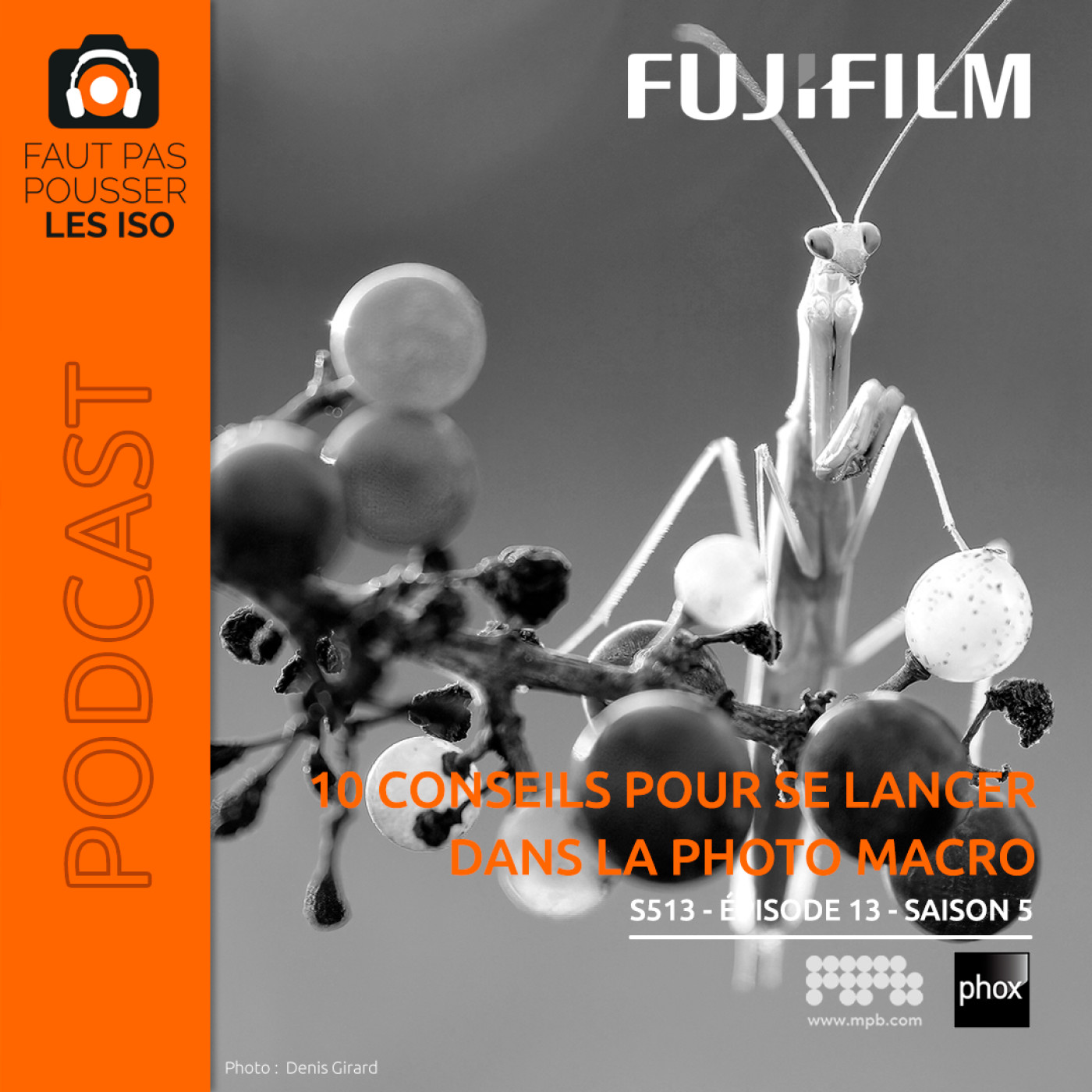 S513 - 10 conseils pour se lancer dans la photo macro