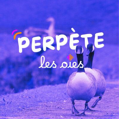 Perpète les oies cover