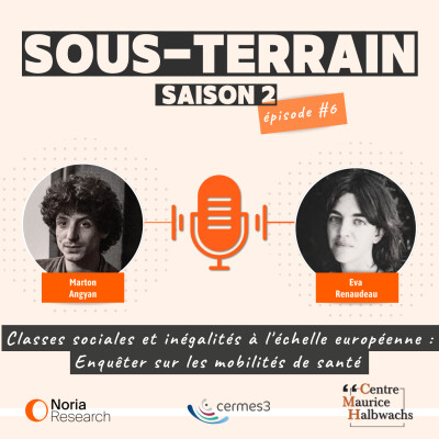 6# Classes sociales et inégalités à l'échelle européenne :  Enquêter sur les mobilités de santé cover