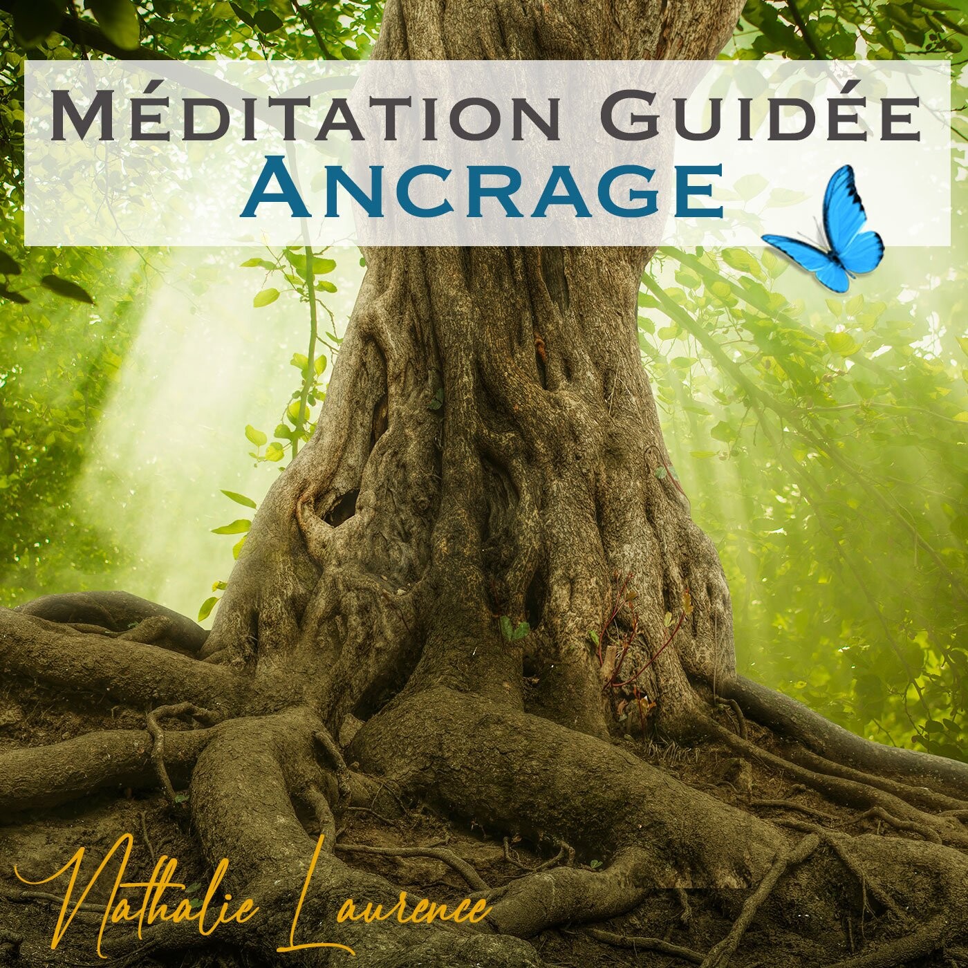 Podcast et Méditations par Nathalie LAURENCE