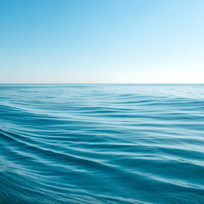 Quel avenir pour l’océan ? | Les Chouettes Conférences | Ep.5 cover