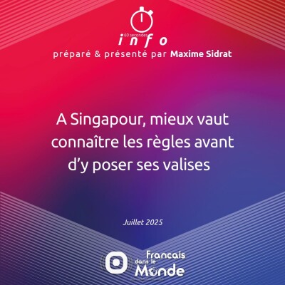 A Singapour, mieux vaut connaître les règles avant d'y poser ses valises cover