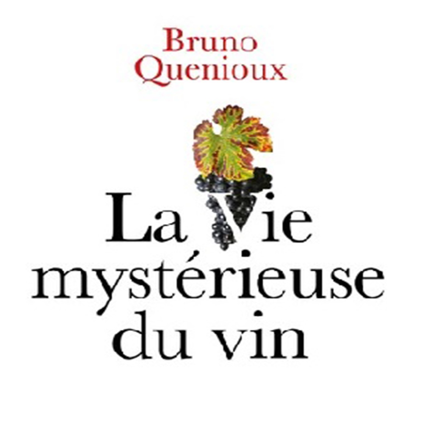 893e émission : Bruno Quenioux