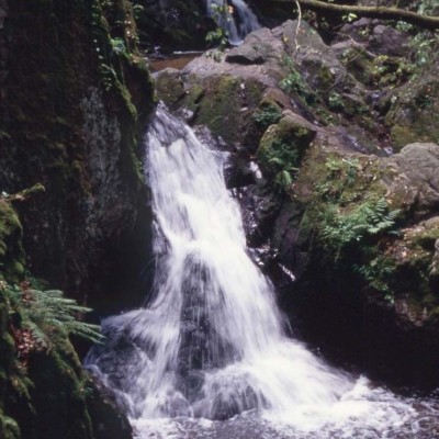 Une ballade pleine de poésie dans les Vosges ! cover