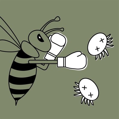 Lutter contre Varroa cover