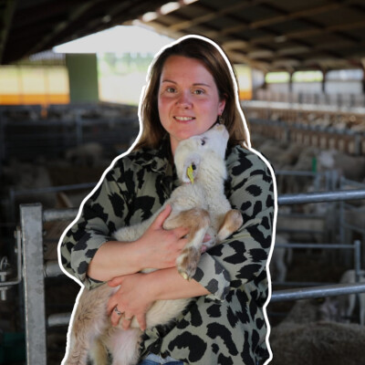 Tout savoir sur les moutons cover