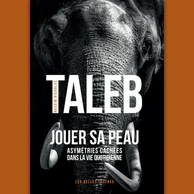 Nassim Nicholas Taleb - Jouer sa peau cover