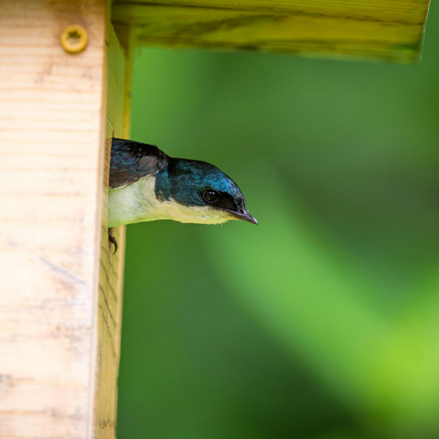 5 : Aragon n'était pas que stalinien ... il était aussi un grand poète !
