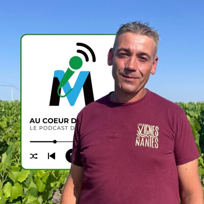 Muscadet I Communale Clisson I Domaine Bruno Cormerais I Maxime Cormerais I Le Muscadet à l'épreuve du temps (Extrait) cover