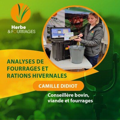 HERBE ET FOURRAGES - Analyses de fourrages et rations hivernales cover
