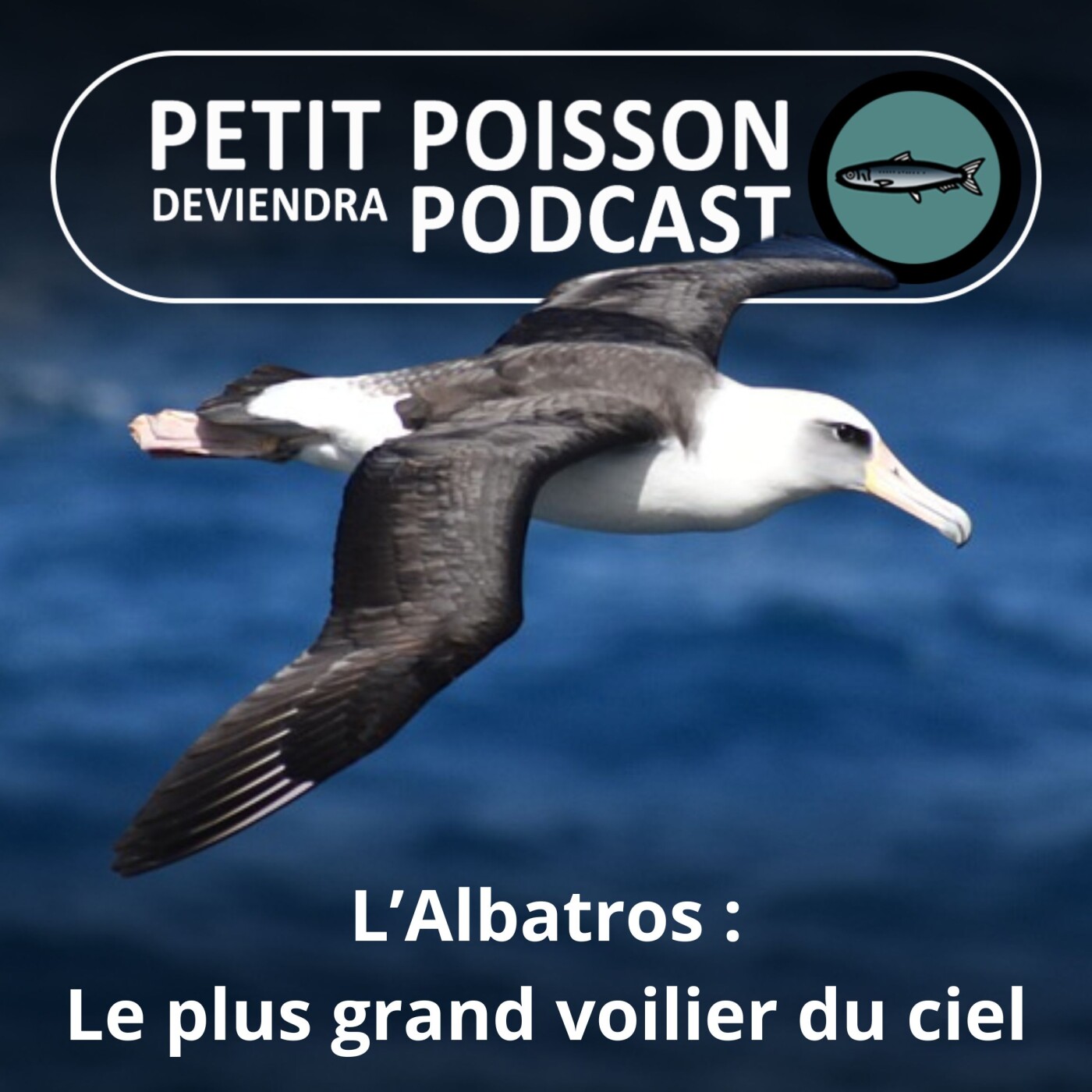 Petit Poisson deviendra Podcast