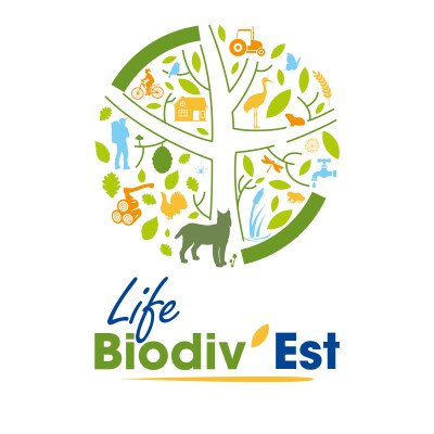 Chantier nature et engagement citoyen pour la biodiversité dans le Grand Est cover