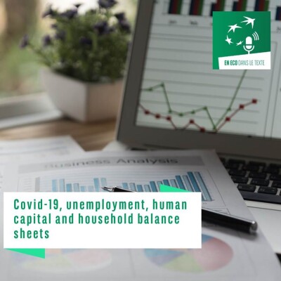 Covid-19, unemployment, human capital and households’ balance sheet cover