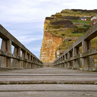 Visite guidée des Hautes Falaises normandes ! cover